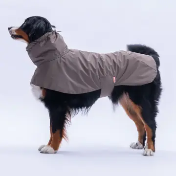 PawStar Kahverengi Colombia Prime Yağmurluk Orta ve Büyük Irklar