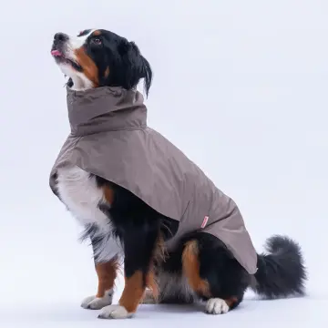 PawStar Kahverengi Colombia Prime Yağmurluk Orta ve Büyük Irklar