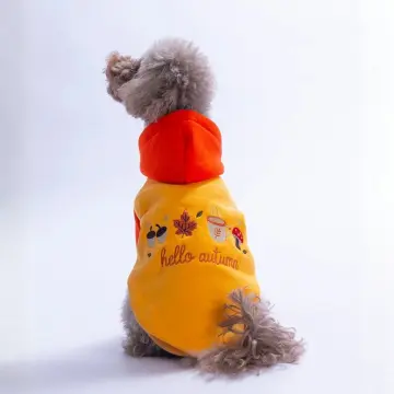PawStar 26741 Turuncu Vermont Autumn Hoodie