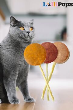 Pet Pops Freeze Dry Lolipop Kefirli Kedi Ödülü
