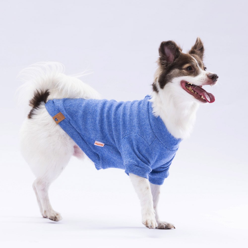 PawStar Mavi Merino Sweat Küçük ve Orta Irk