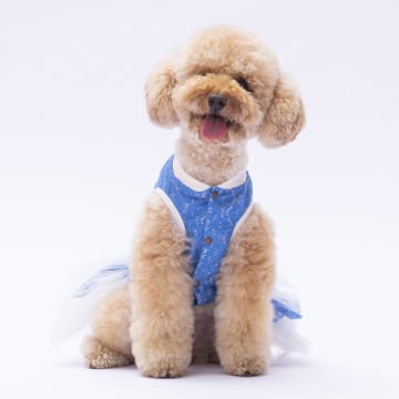 PawStar Mavi Primavera Elbise