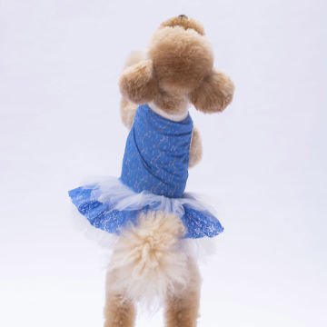 PawStar Mavi Primavera Elbise