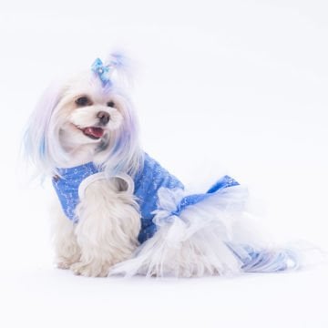 PawStar Mavi Primavera Elbise