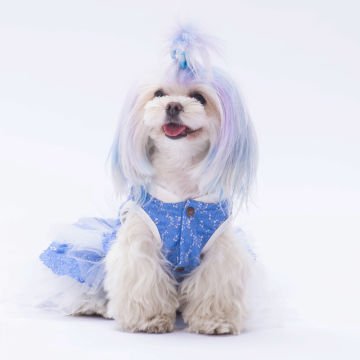 PawStar Mavi Primavera Elbise
