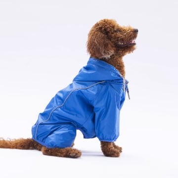 PawStar  Sax Mavi Muson Tulum Yağmurluk Küçük ve Orta Irk