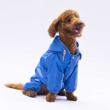 PawStar  Sax Mavi Muson Tulum Yağmurluk Küçük ve Orta Irk