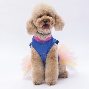 PawStar Ice Cream Elbise
