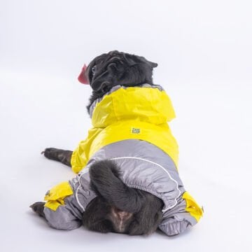 PawStar Sarı Gri Bicolor Tulum Yağmurluk Küçük ve Orta Irk