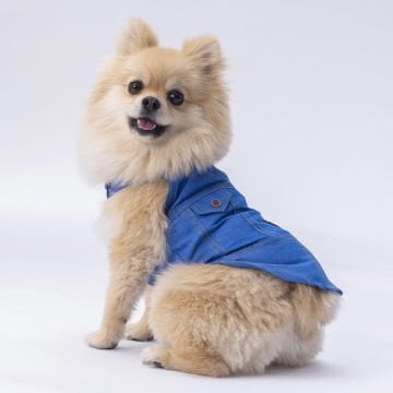 PawStar Denim Look Gömlek