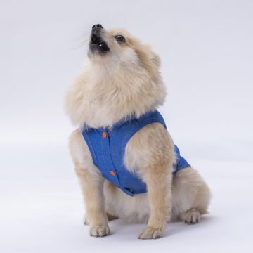 PawStar Denim Look Gömlek