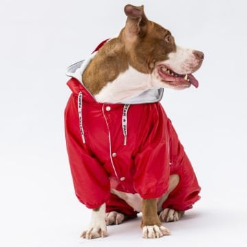 PawStar Kırmızı Muson Büyük Irk Yağmurluk