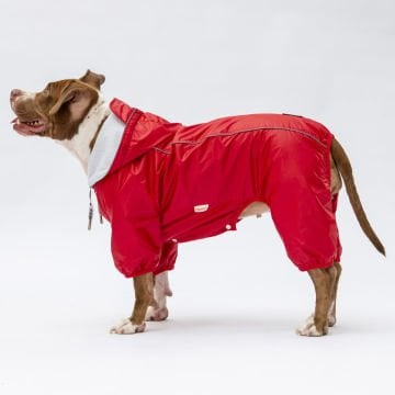 PawStar Kırmızı Muson Büyük Irk Yağmurluk