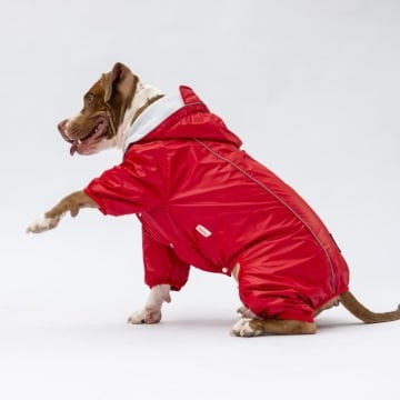 PawStar Kırmızı Muson Büyük Irk Yağmurluk