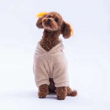 PawStar Bej Lucca Teddy Hoodie Küçük ve Orta Irk