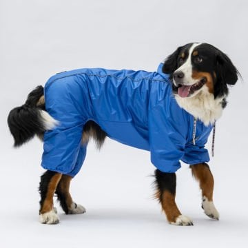PawStar Sax Mavi Muson Büyük Irk Yağmurluk