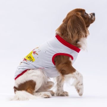 PawStar Gri Summer Time T-Shirt