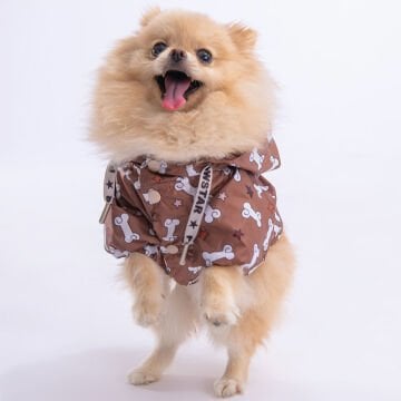 PawStar StellaOs Yağmurluk Küçük ve Orta Irk