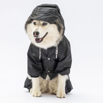 PawStar Siyah Muson Büyük Irk Yağmurluk