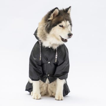 PawStar Siyah Muson Büyük Irk Yağmurluk