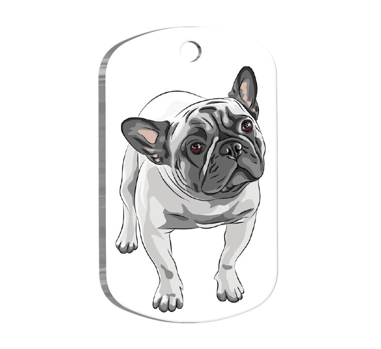 French Bulldog 3 Resimli Köpek Künyesi Large 2,9 x 5 cm