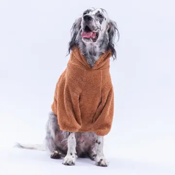 PawStar Kahverengi Lucca Teddy Büyük Irk Hoodie