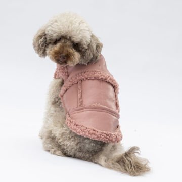 PawStar Rose Churchill Kolsuz Yelek Küçük ve Orta Irk