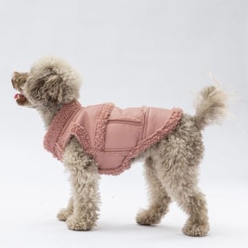 PawStar Rose Churchill Kolsuz Yelek Küçük ve Orta Irk