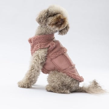 PawStar Rose Churchill Kolsuz Yelek Küçük ve Orta Irk