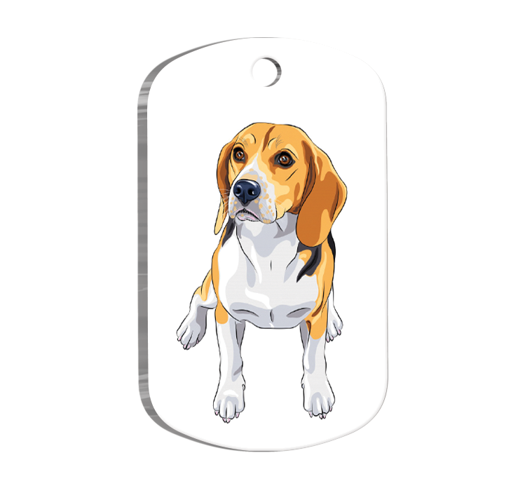 Beagle Breed Resimli Köpek Künyesi Large 2,9 x 5 cm