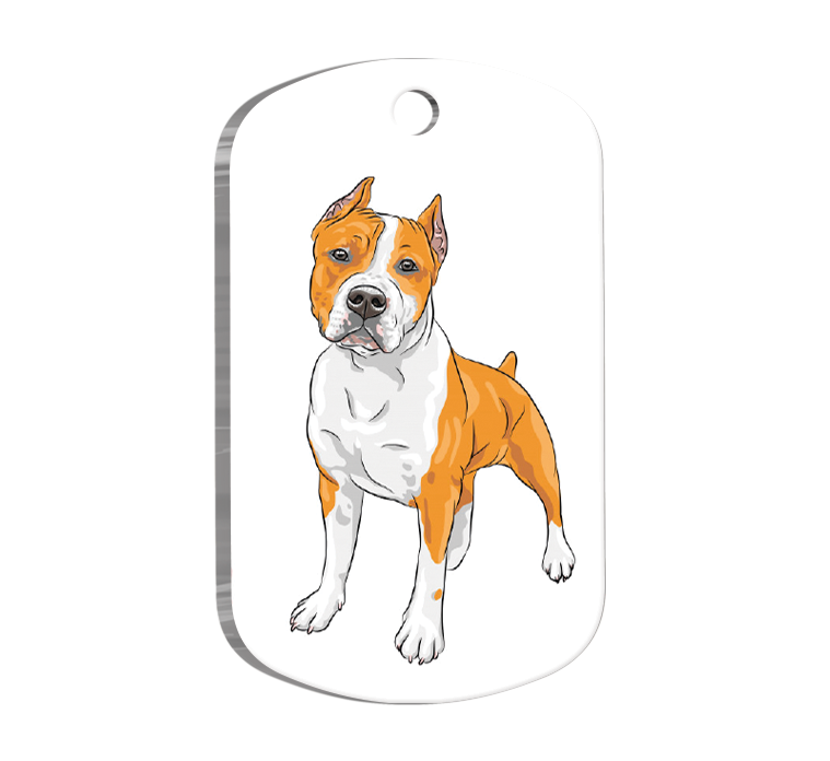 American Staffordshire Terrier Resimli Köpek Künyesi Small 2 x 3,5 cm