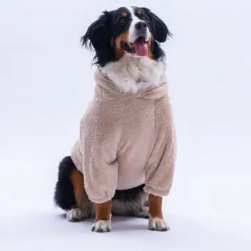 PawStar Bej Lucca Teddy Büyük Irk Hoodie