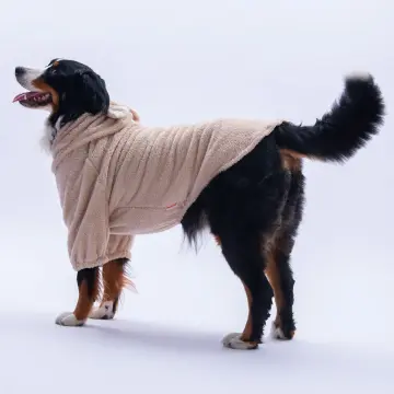 PawStar Bej Lucca Teddy Büyük Irk Hoodie