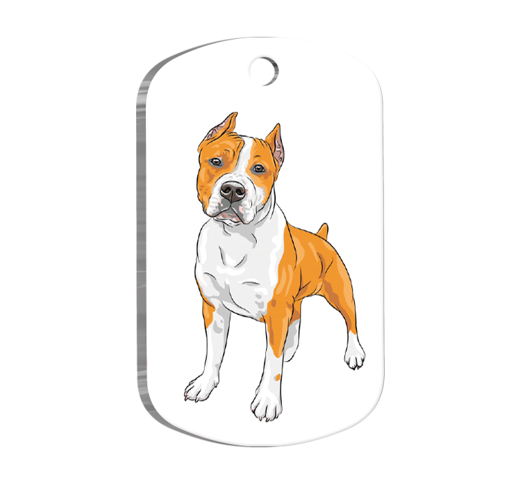 American Staffordshire Terrier Resimli Köpek Künyesi Large 2,9 x 5 cm