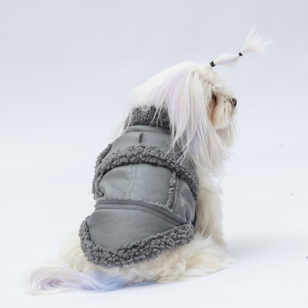 PawStar Gri Churchill Kolsuz Yelek Küçük ve Orta Irk