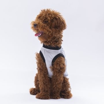 PawStar Gri Travel T-Shirt