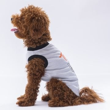 PawStar Gri Travel T-Shirt