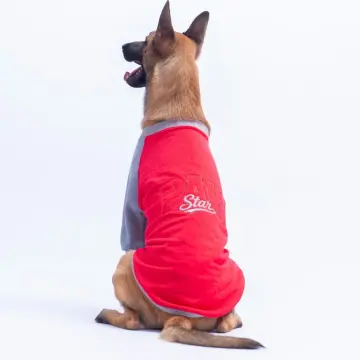 PawStar 26788 Kırmızı Boston Pawstar Büyük Irk Sweat