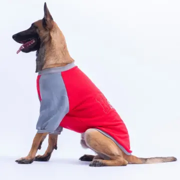 PawStar 26788 Kırmızı Boston Pawstar Büyük Irk Sweat