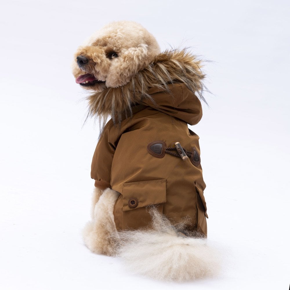 PawStar Camel Charles Yağmurluk Küçük ve Orta Irk