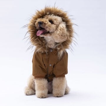 PawStar Camel Charles Yağmurluk Küçük ve Orta Irk