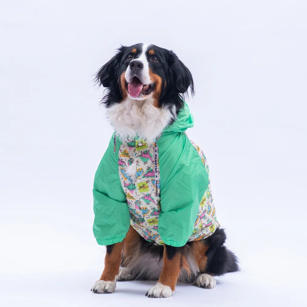 PawStar Denver Dino Büyük Irk Yağmurluk