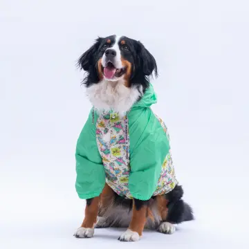 PawStar Denver Dino Büyük Irk Yağmurluk