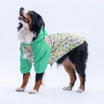 PawStar Denver Dino Büyük Irk Yağmurluk