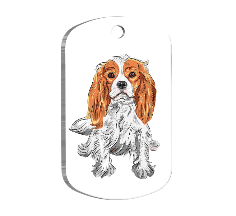 Cavalier Charles Resimli Köpek Künyesi Large 2,9 x 5 cm