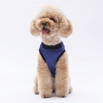 PawStar Lacivert Travel T-Shirt