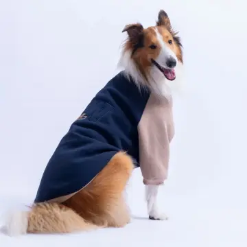 PawStar 26787 Lacivert Boston Pawstar Büyük Irk Sweat