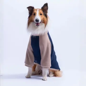 PawStar 26787 Lacivert Boston Pawstar Büyük Irk Sweat