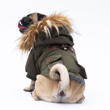 PawStar Haki Charles Yağmurluk Küçük ve Orta Irk