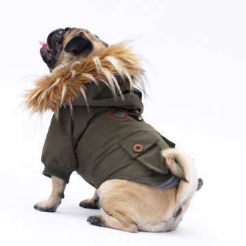 PawStar Haki Charles Yağmurluk Küçük ve Orta Irk